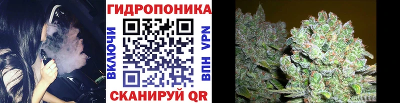 где купить   Гремячинск  Бошки Шишки OG Kush 
